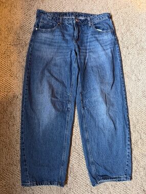 Wild Fable Women's Barrel Blue Denim Jeans